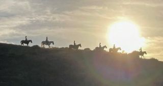 Contact - cultuuronderwijs - Jolanda Vas - paarden dalen berg af